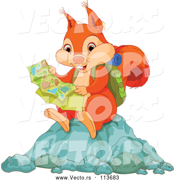 Vector of Orange Squirrel Hiker Reading a Map and Sitting on a Rock