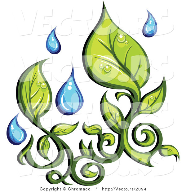 Vector of Organic Green Leaves with Fresh Rain Water Droplets