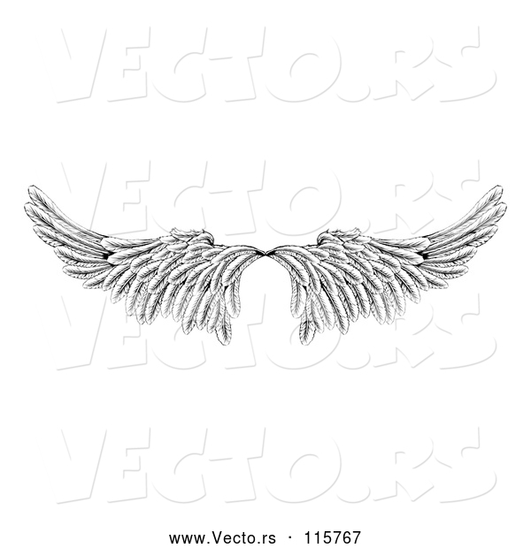 Vector of Pair of Black and White Angel or Eagle Wings