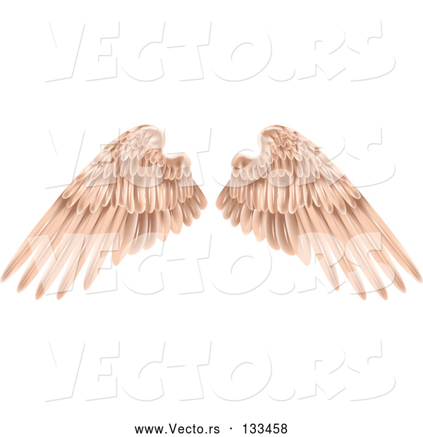 Vector of Pink Brown Angel Wings