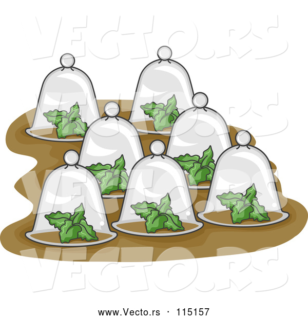 Vector of Plants Under Glass Cloches
