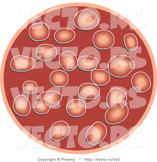 Vector of Red Blood Cells