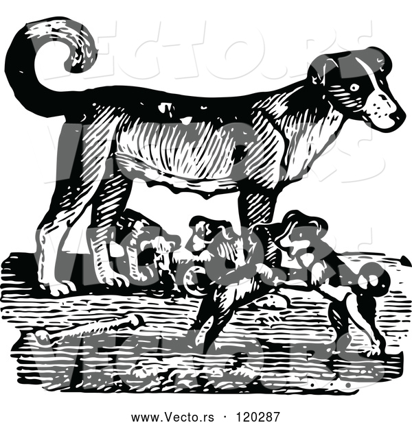 Vector of Retro Black and White Mother Dog and Playful Puppies