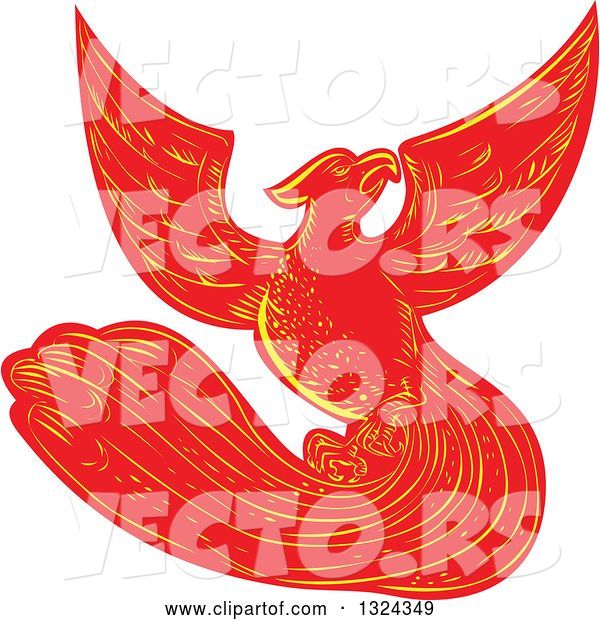 Vector of Retro Engraved or Sketched Phoenix Bird Rising