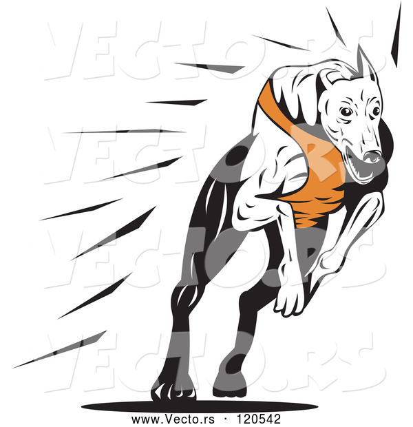 Vector of Retro Running Greyhound Dog 2
