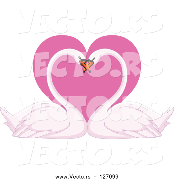 Vector of Romantic Swan Pair with Their Heads Together over a Pink Heart