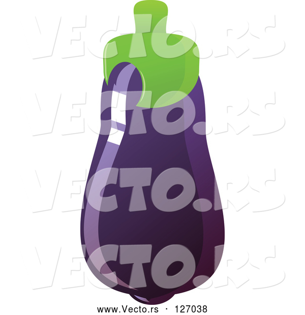 Vector of Shiny Purple Eggplant