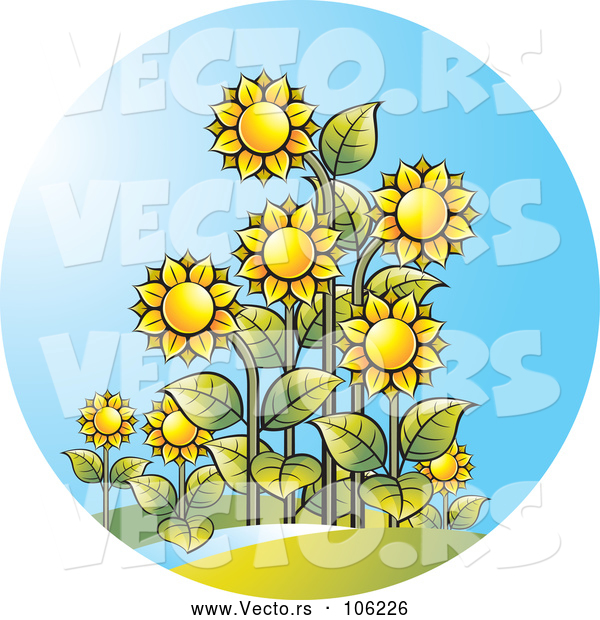 Vector of Sunflower and Sunshine Circle