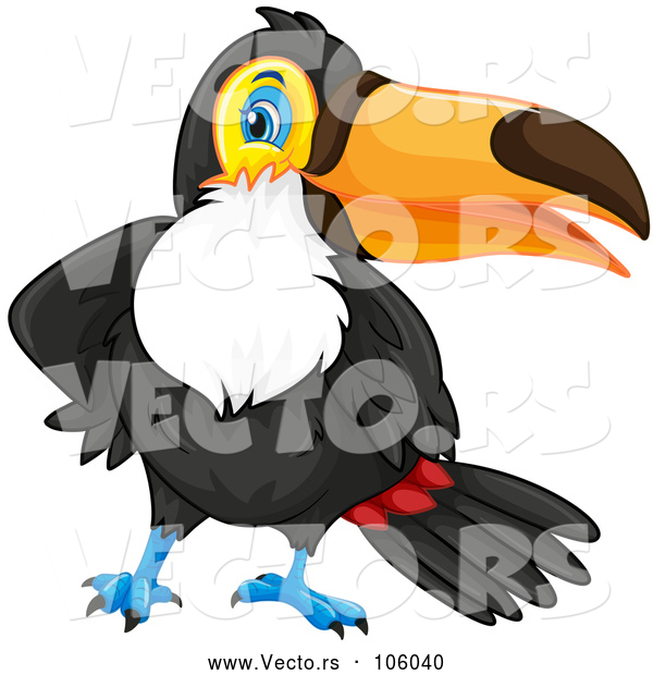 Vector of Toucan Bird