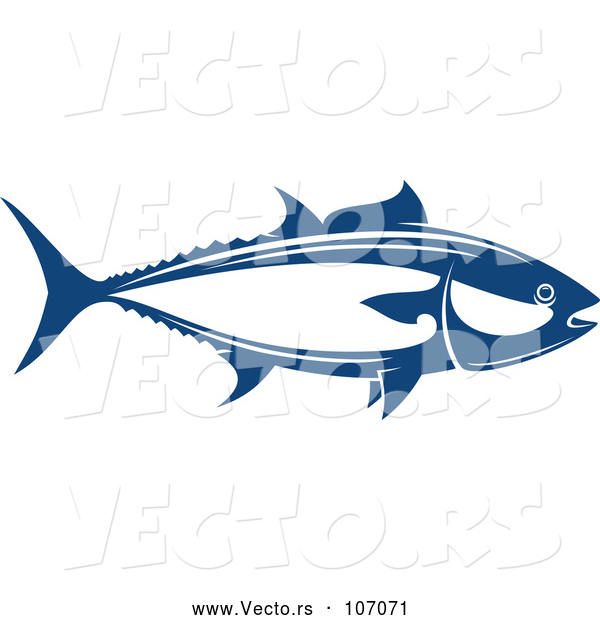 Vector of Tuna Fish Seafood Design