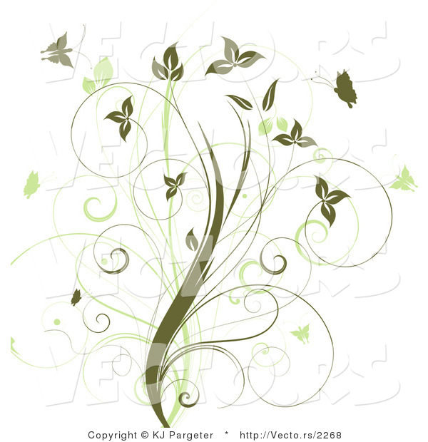 Vector of Vines with Green Butterflies - Floral Design Element