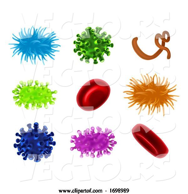 Vector of Virus Bacteria Germs Blood Cells Set