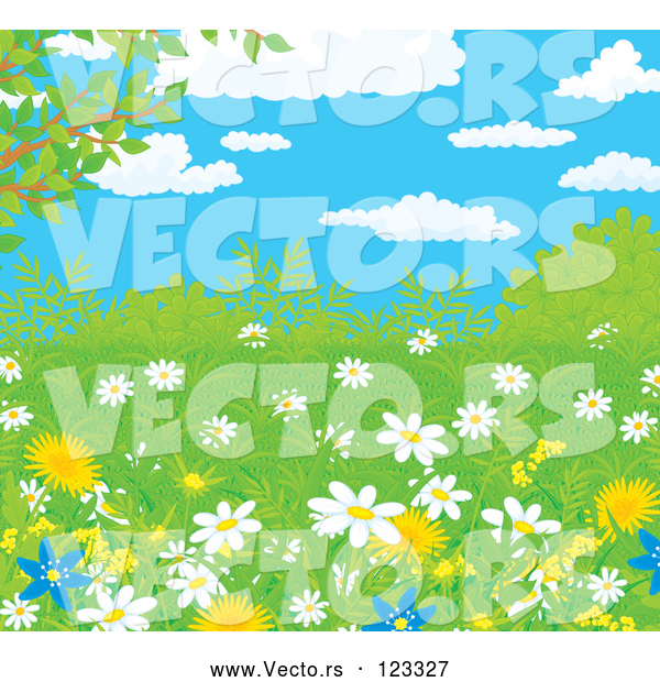 Vector of Wild Daisies and Dandelion Flowers in Spring Growth Under a Blue Cloudy Sky