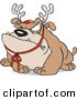 Cartoon Vector of a Grumpy Bulldog Wearing Reindeer Antlers by Toonaday