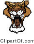 Cartoon Vector of a Roaring Mountain Lion Mascot by Chromaco