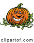 Cartoon Vector of Happy Pumpkin Mascot on the Vine by Chromaco