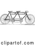 Vector of a Black and White Tandem Bicycle by BestVector