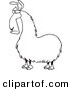 Vector of a Cartoon Bored Llama - Outlined Coloring Page by Toonaday