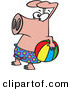 Vector of a Cartoon Pig Wearing Swim Shorts While Holding a Colorful Beach Ball by Toonaday