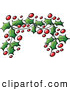Vector of a Christmas Holly Leaves and Berries Border by Zooco