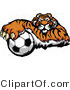 Vector of a Competitive Cartoon Tiger Mascot Gripping Soccer Ball with Paw by Chromaco