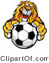 Vector of a Competitive Lion Mascot Gripping a Soccer Ball by Chromaco