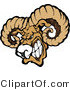 Vector of a Dominant Ram Mascot Gritting Teeth and Preparing to Charge by Chromaco
