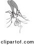 Vector of a Goofy Grayscale Mosquito by Zooco