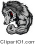 Vector of a Gray Wolf Mascot Display Strength While Flexing Muscles and Grinning by Chromaco