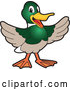Vector of a Happy Welcoming Duck School Mascot by Toons4Biz