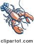 Vector of a Lobster: Faded Blue, White, and Red Color by Zooco