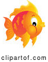 Vector of a Round Orange Fish by Visekart