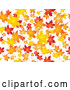 Vector of Background of Orange, Red and Yellow Maple Leaves Falling over White by KJ Pargeter