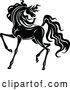 Vector of Black and White Horse by Vector Tradition SM