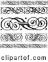 Vector of Black and White Swirl Borders and Rules by BestVector