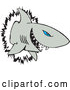 Vector of Blue Eyed Shark Crashing Through a Wall by Dennis Holmes Designs
