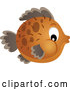 Vector of Brown Blowfish by Visekart
