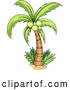 Vector of Cartoon Coconut Palm Tree by