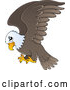 Vector of Cartoon Flying Bald Eagle by Visekart