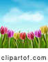 Vector of Colorful Spring Tulip Flowers Under a Blue Sky with Puffy Clouds by Elaineitalia