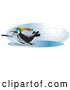 Vector of Cool and Energetic Black and White Penguin Wearing Shades and a Hat, Sliding Across an Iced over Body of Water with Speed on a Snowy Winter Day by Tonis Pan