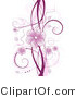 Vector of Purple Floral Vines with Blossoms and Tendrils over White Background Design by KJ Pargeter