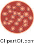 Vector of Red Blood Cells by Prawny