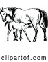 Vector of Retro Vintage Black and White Mare Horse and Colt by Prawny Vintage