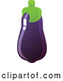 Vector of Shiny Purple Eggplant by Tonis Pan