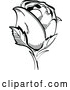 Vector of Single Black and White Rose by Andy Nortnik