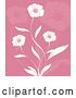 Vector of Three Beautiful White Flowers and Leaves over a Pink Background with Faded Flowers by KJ Pargeter
