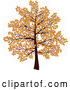 Vector of Tree with Branches Covered in Brown Autumn Leaves, over a White Background by KJ Pargeter