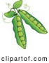 Vector of Two Green Pea Pods by Pams Clipart